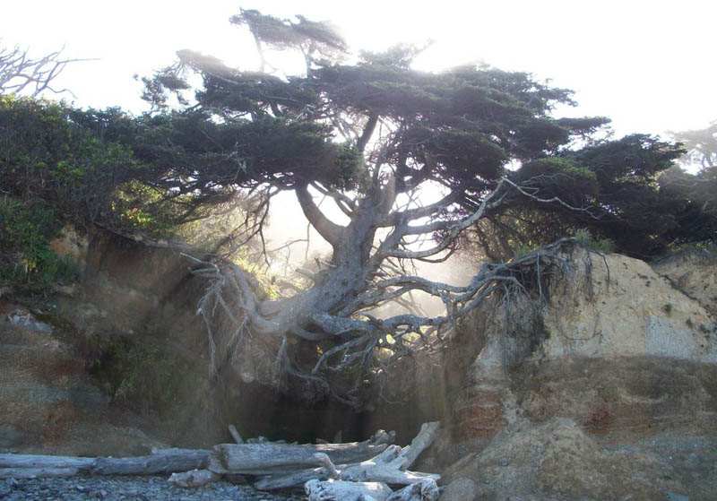 Amazing Pictures nature alsunna.org (4)