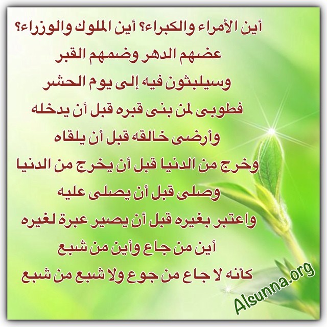 ayna