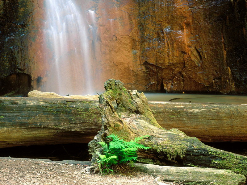 Berry Creek Falls Big Basin Redwoods State Park California