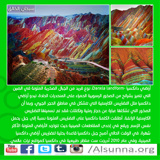 Islamic Nature Quotes (5)