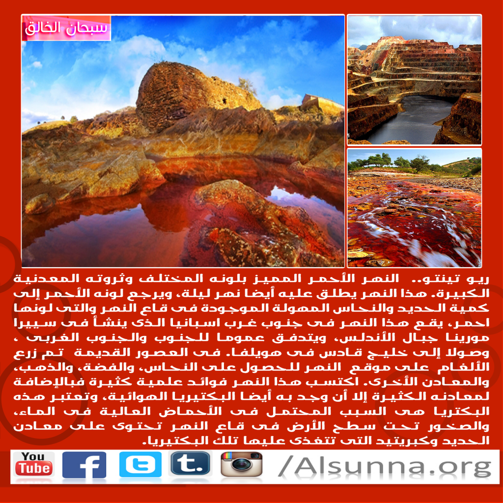 islamic nature quotes  9