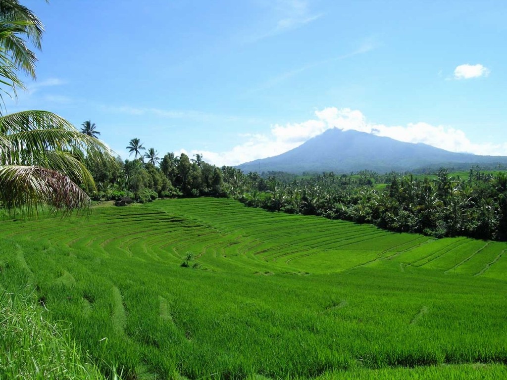 Green Field Meets Blue Sky طبيعة خضراء