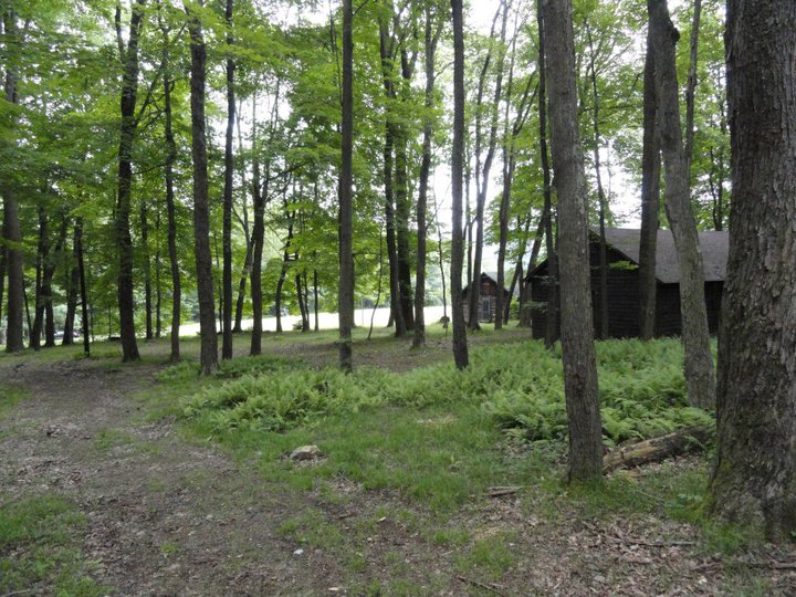 Camp Site