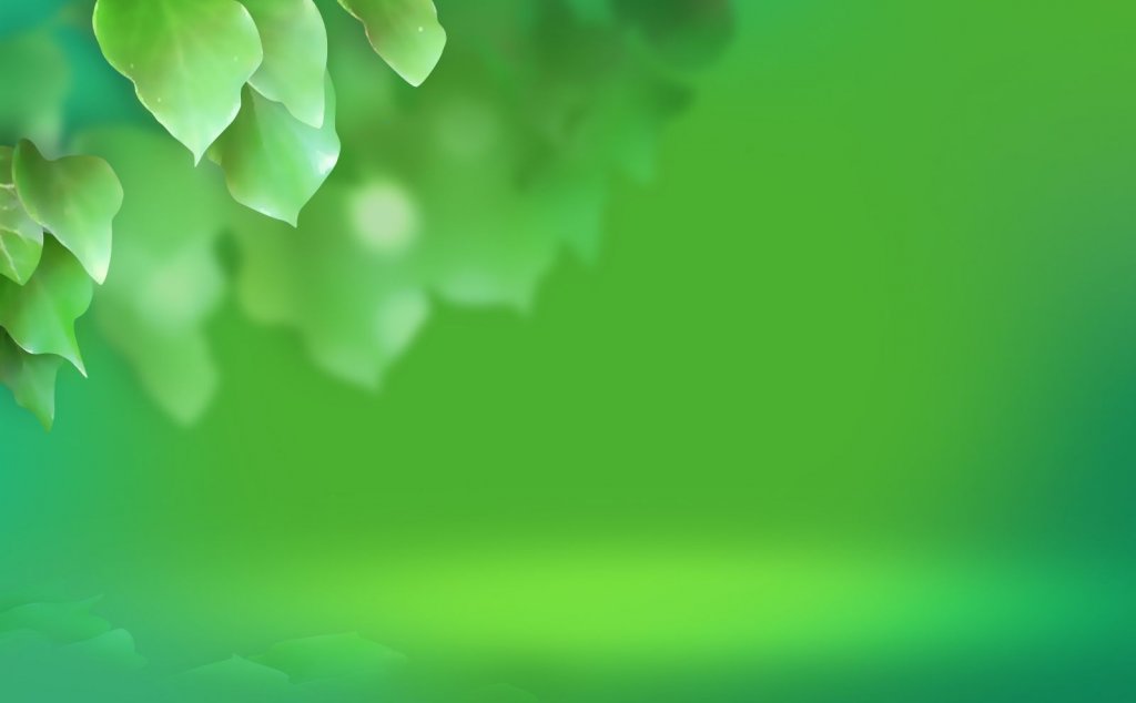 vista-wallpaper-vista-leaf