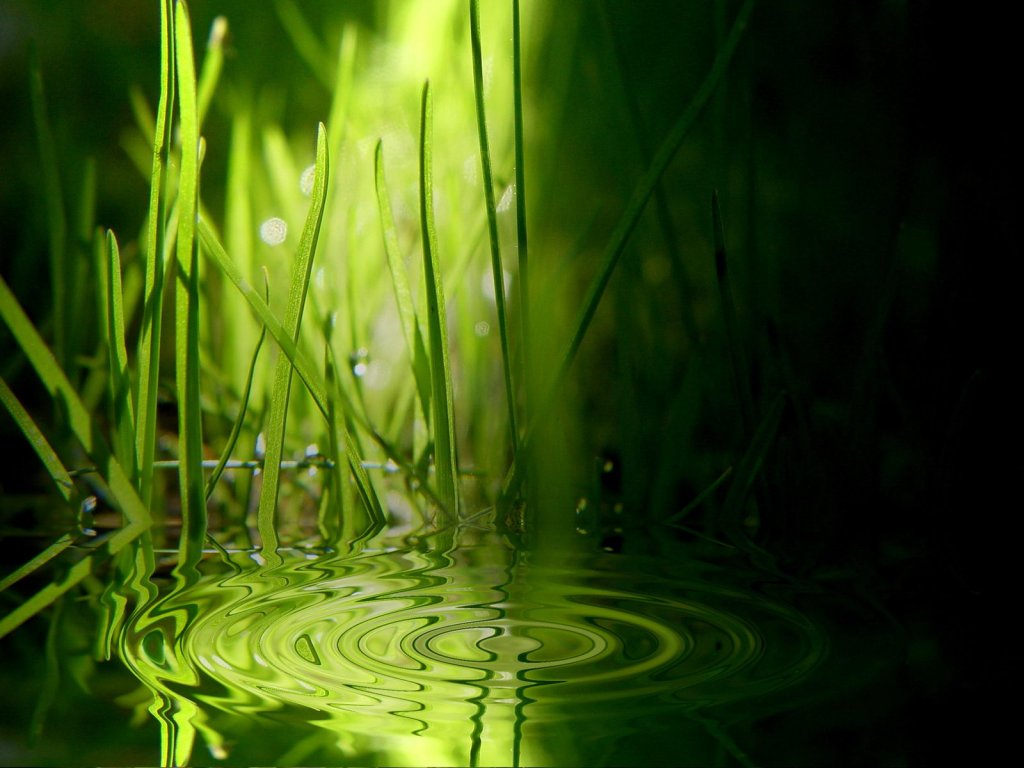 vista-wallpapers-15
