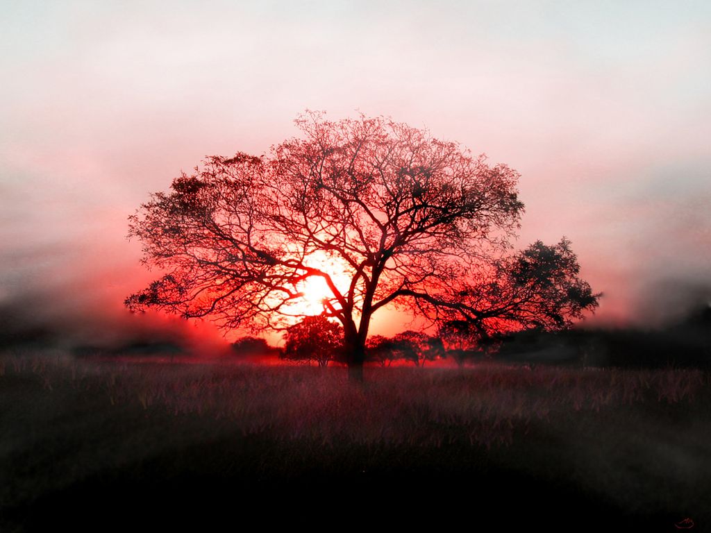 vista-wallpapers-32