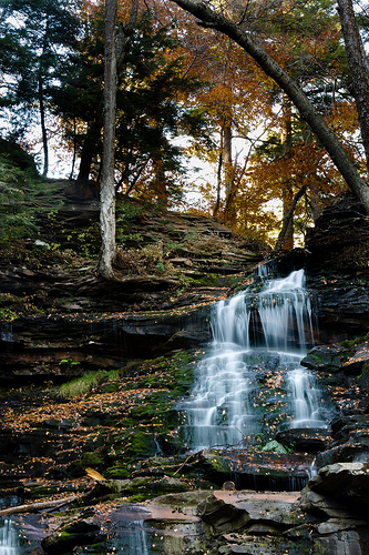 Natural Scenery