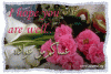Wish you are well!