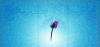 Islamic Pictures (1)