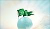 Islamic Pictures (20)