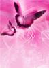 Islamic Pictures (26)
