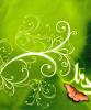 Islamic Pictures (27)
