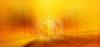 Islamic Pictures (67)