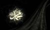 Muhammad - Rasulullah Mawlid