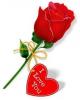 roses www alsunna org