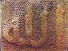 Name of Allah on honey