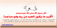 alsunna org hadith