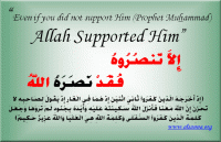alsunna org love muhammad4
