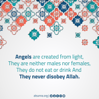 Did you Know-0004