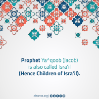 Did you Know-0008