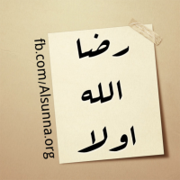 يا رضا الله