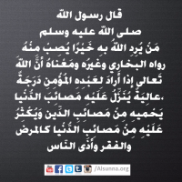 Hadith Islamic Quotes (12)