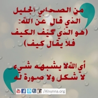 imam aliy quote