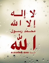 Inspirational Islamic Quotes (124)
