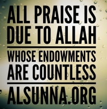 Praise Allah