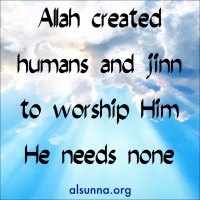 Worship God
