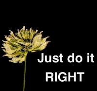 Do It Right