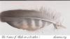 Name of Allah on Feather