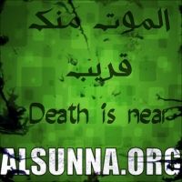Islamic Quotes (10)