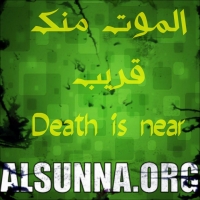 Islamic Quotes (11)