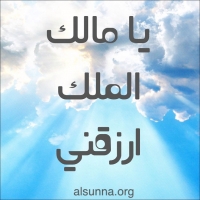 Islamic Quotes (39)