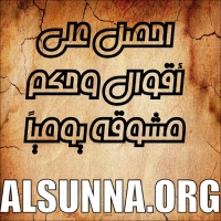 Islamic Quotes (58)