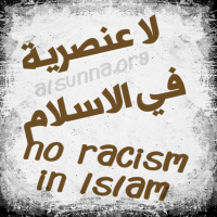 Islamic Quotes alsunna.org (30)