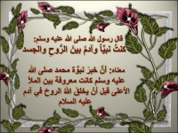 Islamic Quotes and Sayings (167)