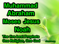 Islamic Quotes and Sayings (35)