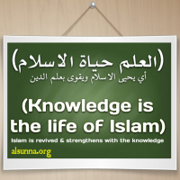 Islamic Quotes and Sayings Idioms (22)