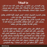 Islamic Quotes and Sayings Idioms (91)