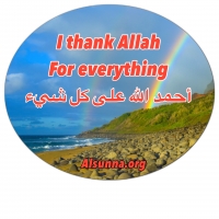 Islamic Quotes Beliefs and Sayings (7)