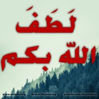 Islamic Quotes Duaa Sayings (250)