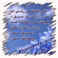 الصديق - أقوال وأمثال سيدنا الشافعي