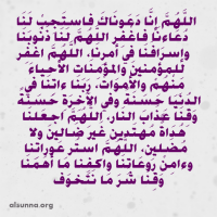 IslamicQuotes Facebook Instagram (1)