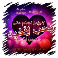 Love Mahabbah (1)