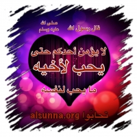 Love Mahabbah (2)