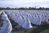 why abandon salat prayer (20)