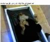 why abandon salat prayer (3)