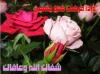 SHIFA2